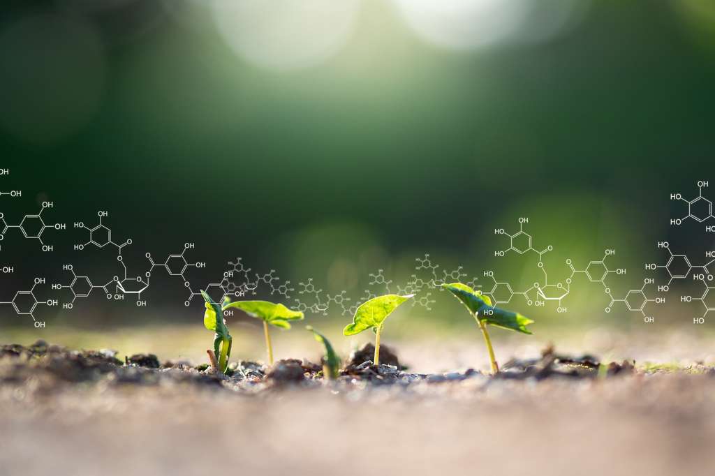 Interis, entreprise spécialisée en biotechnologie